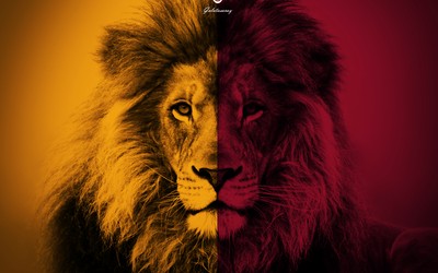 大象体育热评-仍需向欧洲看齐